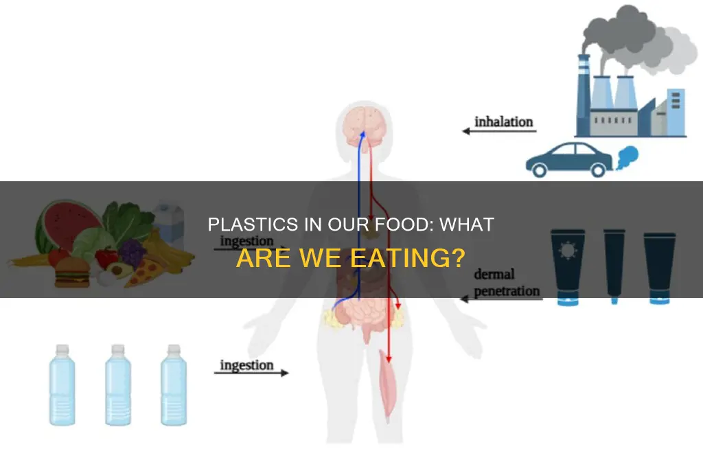 what kind of plastics do people ingest