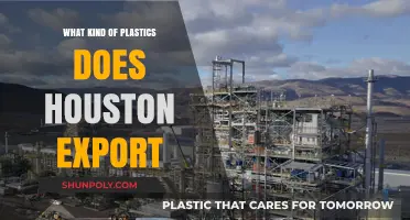 Houston's Plastic Export: What Types Are Leaving the City?