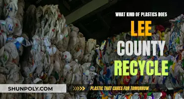Lee County's Plastic Recycling: What's Accepted and What's Not