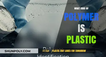 The Many Faces of Plastic Polymers