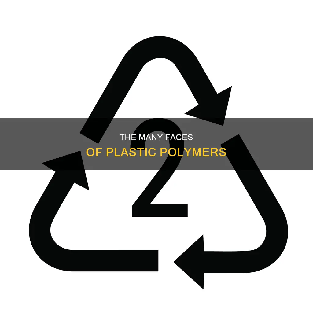 what kind of polymer is plastic