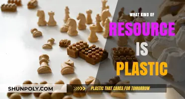 Plastic: A Valuable Resource or a Wasteful Menace?