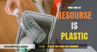 The Plastic Conundrum: A Valuable Resource or Environmental Hazard?