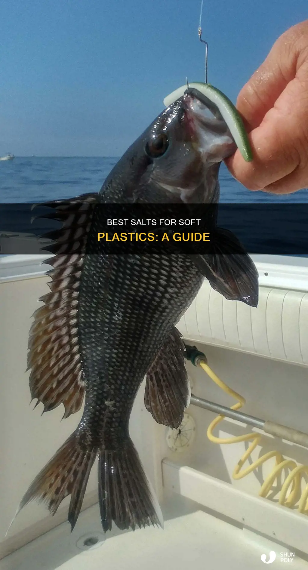 what kind of salt for soft plastics