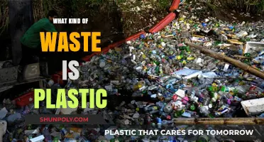 Plastic Waste: Understanding the Different Types and Their Impact