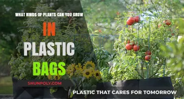 Growing in Plastic Bags: Best Plants for This Unique Method