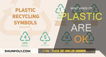 The Safe Plastics: What's OK to Use?
