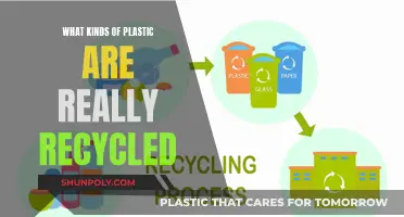 The Plastic Recycling Myth: What Really Gets Recycled?