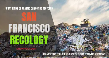 San Francisco's Unrecyclable Plastics: What's Not Accepted and Why