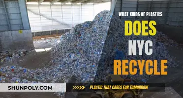 Recycling in NYC: Understanding the Plastics that Make the Cut