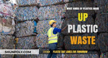 Understanding Plastic Waste: Types of Plastics Polluting Our Planet