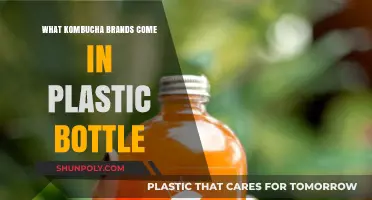 Plastic-Bottled Kombucha: Top Brands for On-the-Go Fermented Fizz