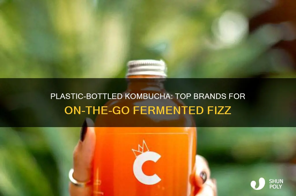 what kombucha brands come in plastic bottle