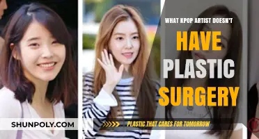 Natural Beauty: K-Pop Idols Who Haven't Had Plastic Surgery