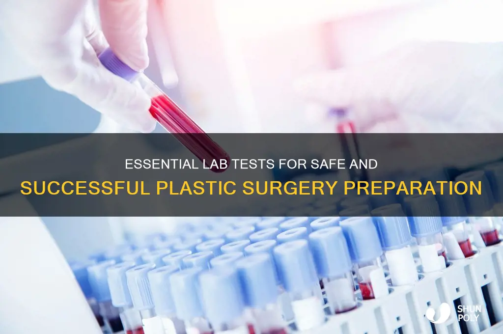 what lab work do i need for plastic surgery