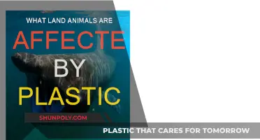 Plastic's Impact: Land Animals Endangered