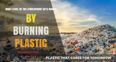 Burning Plastic's Toxic Impact: Which Atmospheric Layer Suffers Most?