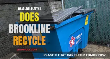 Brookline's Plastic Recycling: What Types Are Accepted?