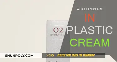 Plastic Cream: What Lipids Are Inside?