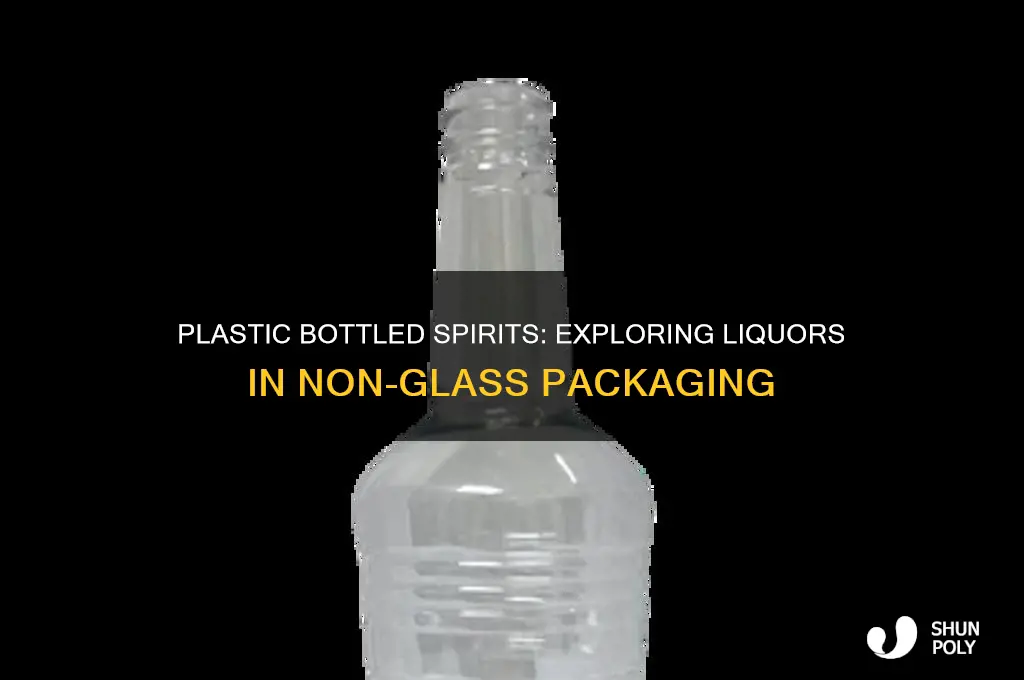 what liquor comes in plastic bottles