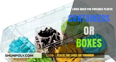 Cupcakes: Plastic Containers vs Boxes, Which Packaging Looks Better?