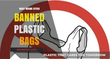 Maine's Plastic Bag Ban: Which Cities Are Leading the Charge?