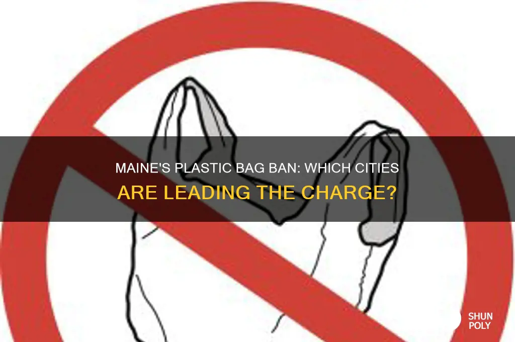 what maine cities banned plastic bags