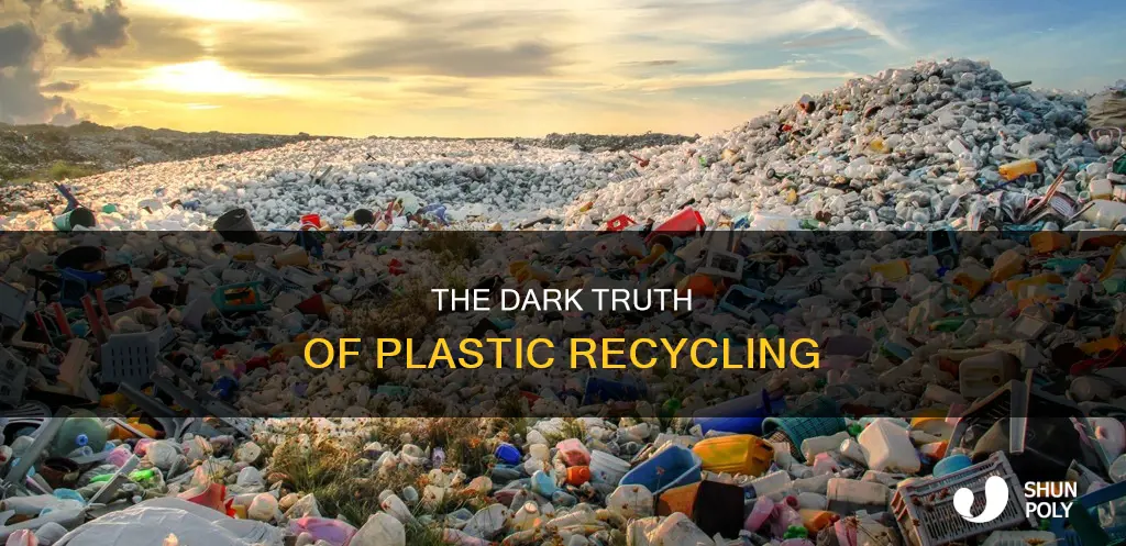 what majority of plastic doesn
