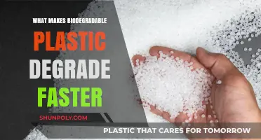 Accelerating Biodegradable Plastic Breakdown: Key Factors for Faster Degradation