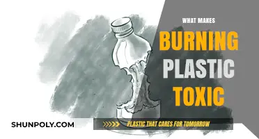 Why Burning Plastic Releases Harmful Toxins and Pollutants