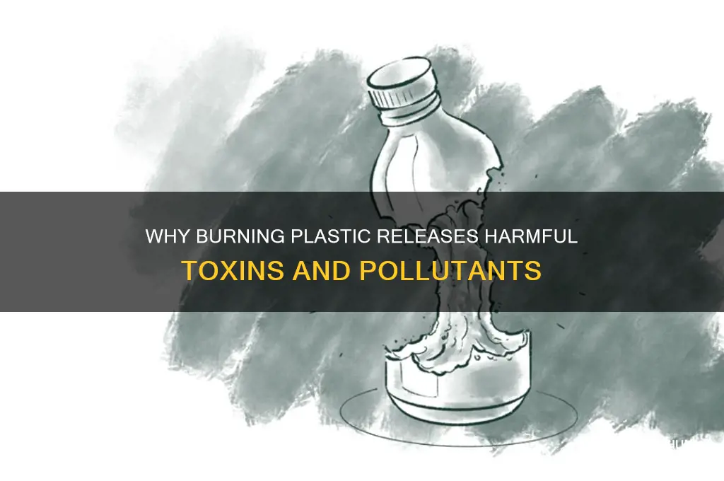 what makes burning plastic toxic