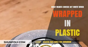 Why Cheese Turns White When Wrapped in Plastic: Explained
