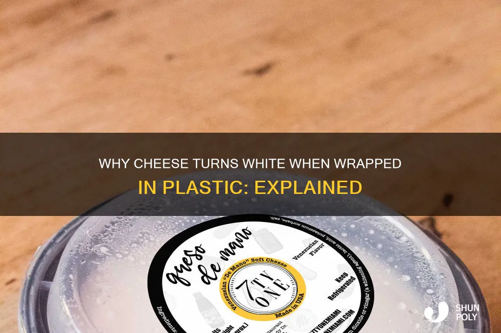 what makes cheese get white when wrapped in plastic