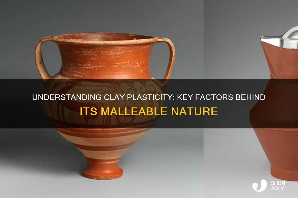 what makes clay plastic