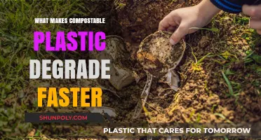 Speeding Up Compostable Plastic Degradation: Key Factors and Processes