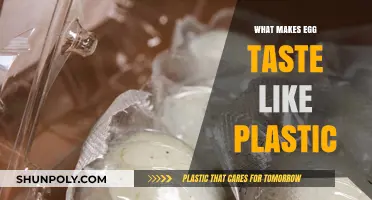 Why Your Eggs Taste Like Plastic: Causes and Solutions Explained