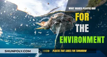 Plastic's Environmental Impact: Uncovering the Harmful Effects on Our Planet