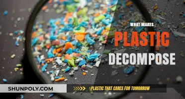 Understanding the Factors That Influence Plastic Decomposition Process