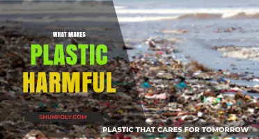 The Hidden Dangers of Plastic: Uncovering Its Harmful Impact