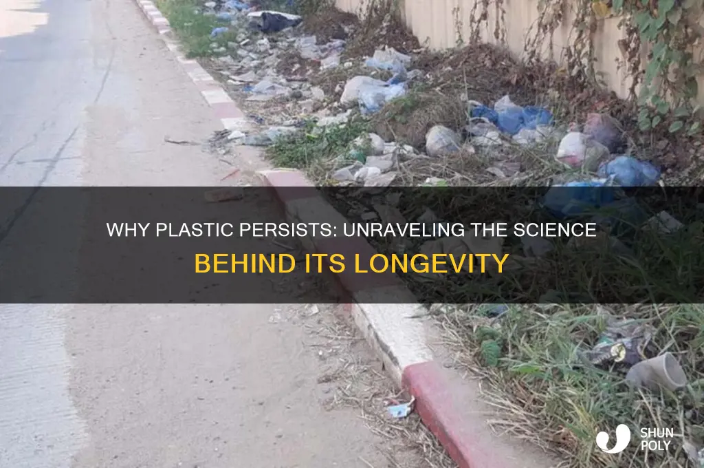 what makes plastic last so long