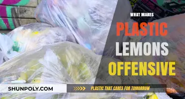 Why Plastic Lemons Are an Offensive, Wasteful, and Unnecessary Product