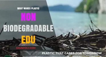 Why Plastic Persists: Understanding Its Non-Biodegradable Nature