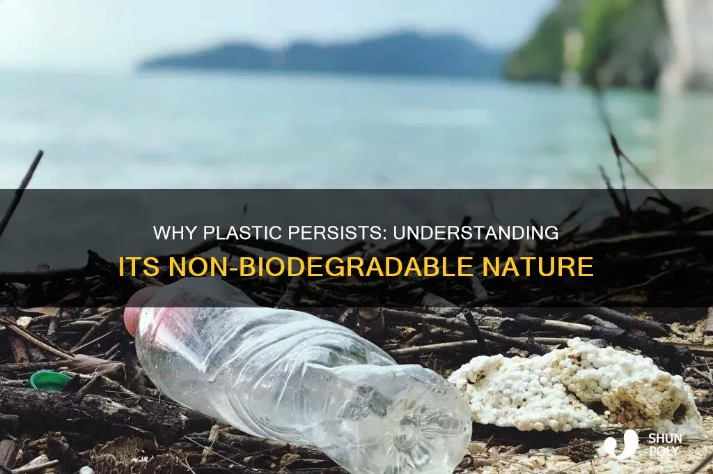 what makes plastic non biodegradable edu