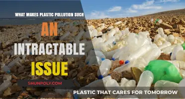 Plastic Pollution: Why This Global Crisis Defies Easy Solutions
