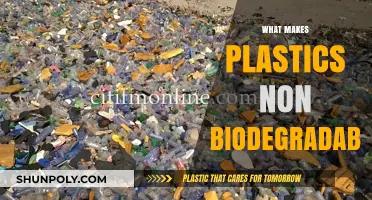 Why Plastics Persist: Unraveling the Mystery of Non-Biodegradability
