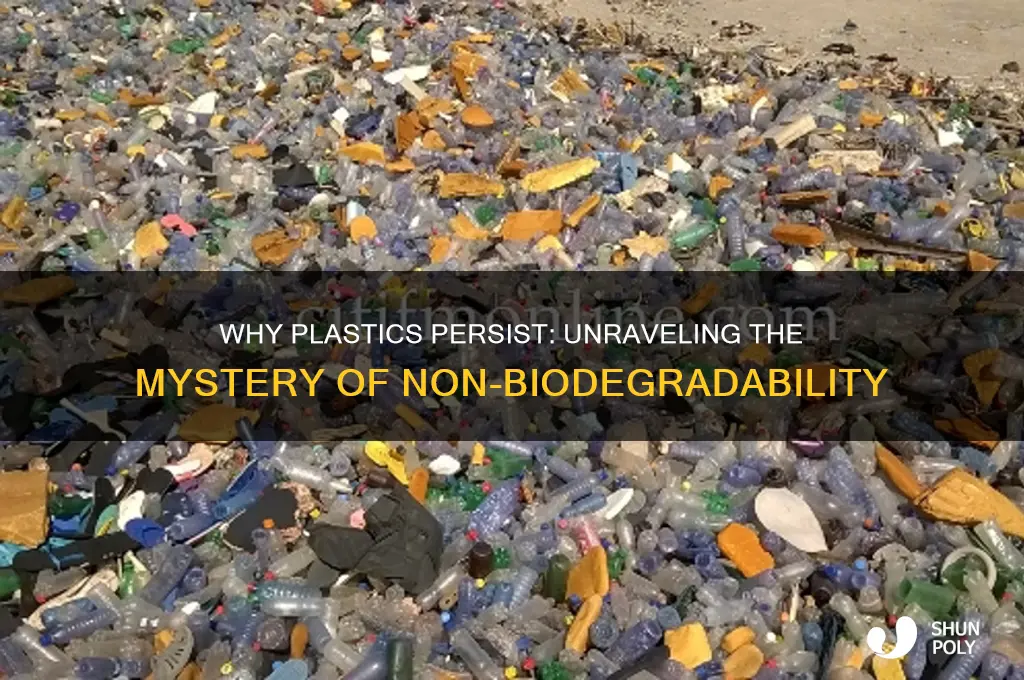 what makes plastics non biodegradable
