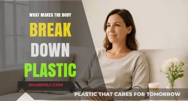 How Our Bodies Process and Break Down Plastic: The Science Explained