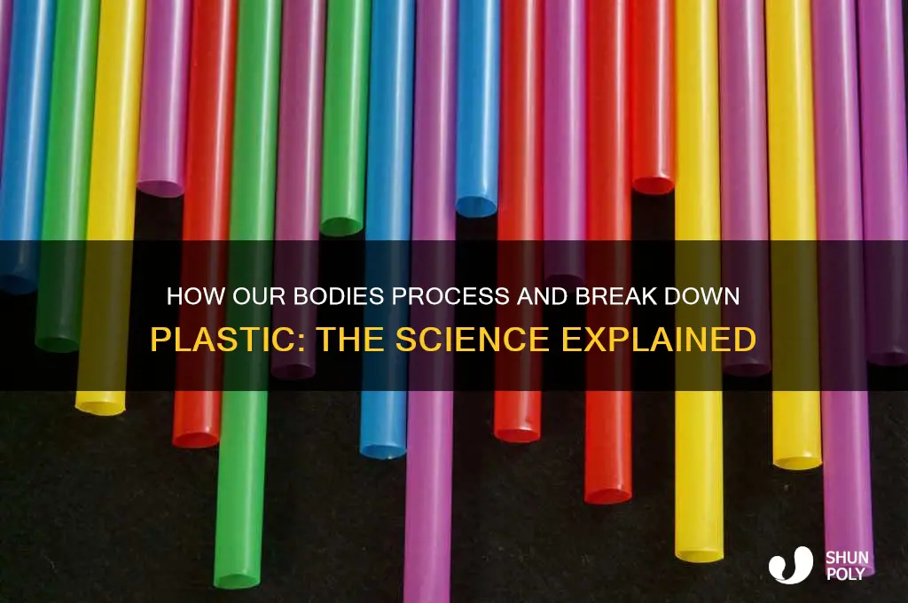 what makes the body break down plastic