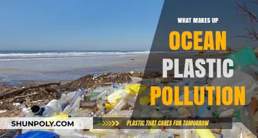 Unveiling the Sources and Impact of Ocean Plastic Pollution