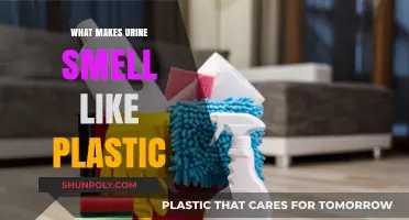 Why Does Urine Smell Like Plastic? Causes and Concerns Explained